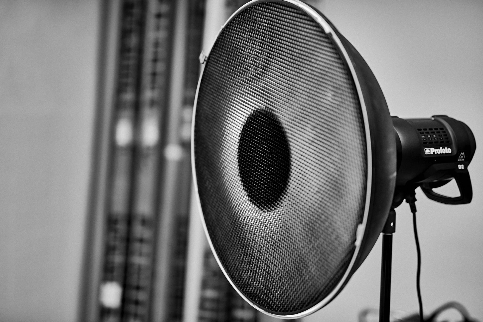 Beauty Dish mit Wabe im Fotostudio Mielek in Dortmund